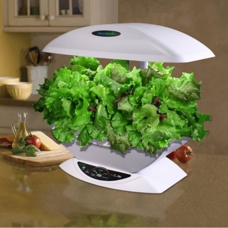 Best Indoor Garden System Indoor Hydroponic Systems – The Perfect Idea For A Home Garden Photo 344