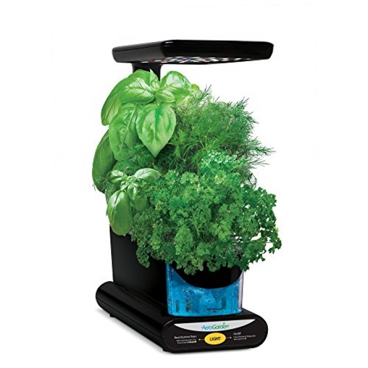 Best Indoor Garden System The Best Indoor Smart Garden Systems And Smart Planters Of Photo 741