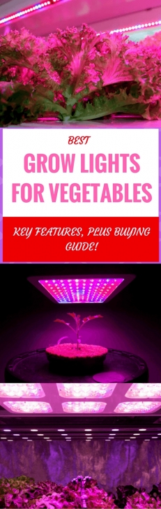 Best Indoor Grow Lights For Vegetables Best Indoor Grow Lights For Vegetables Reviews & Buying Guide Picture 314