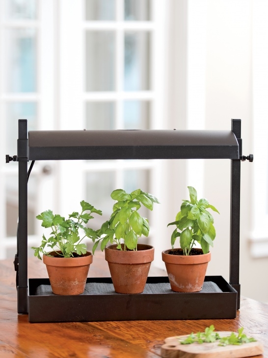 Best Indoor Grow Lights For Vegetables Micro Grow Light Garden - Indoor Herb Garden | Free Shipping Image 519