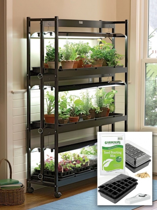 Best Indoor Grow Lights For Vegetables T5 Grow Lights - 3-Tier Garden Starter Grow Light Kit Image 835