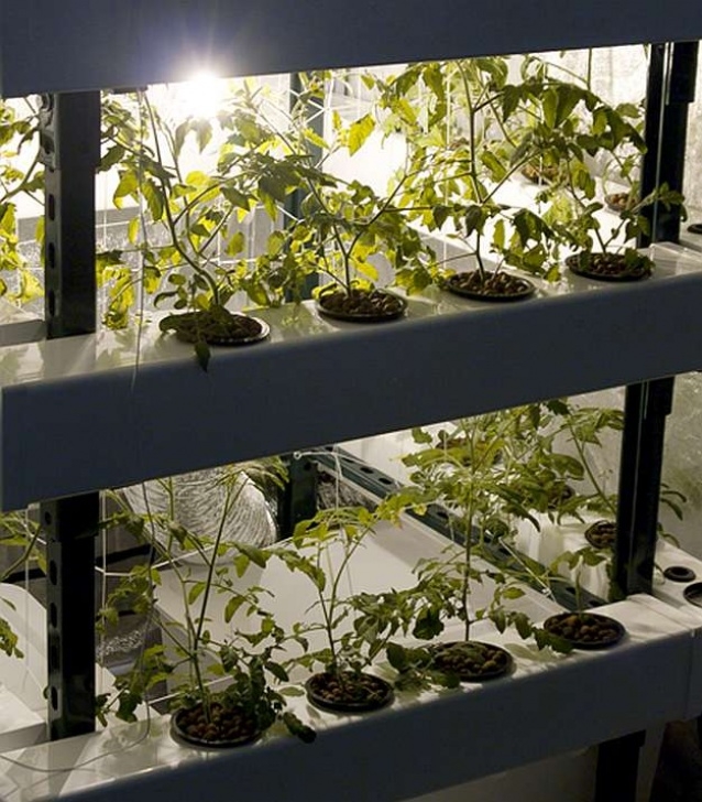 Best Indoor Hydroponic System 33 Amazing Hydroponic Systems For Indoor Gardening Photo 736