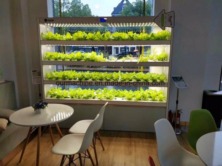 Best Indoor Hydroponic System China Indoor Garden System Hydroponics With Led Grow Picture 096