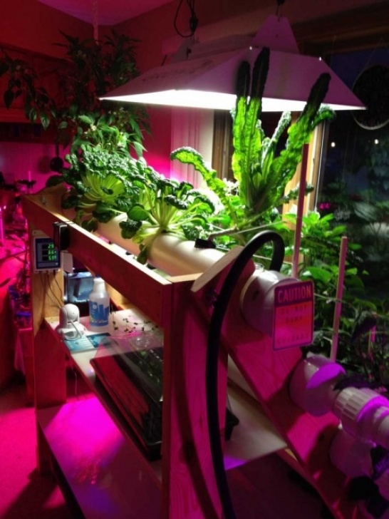 Best Indoor Hydroponic System Indoor Gardening And Home Hydroponics | Powerhouse Hydroponics Photo 916