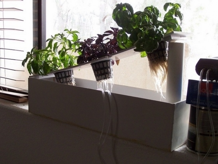 Best Indoor Hydroponic System Indoor Hydroponic Systems – The Perfect Idea For A Home Garden Photo 308