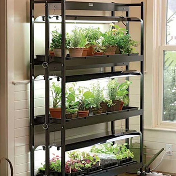 Best Indoor Hydroponic System Indoor Microgreen Growing Hydroponic System China Manufacturer Picture 900