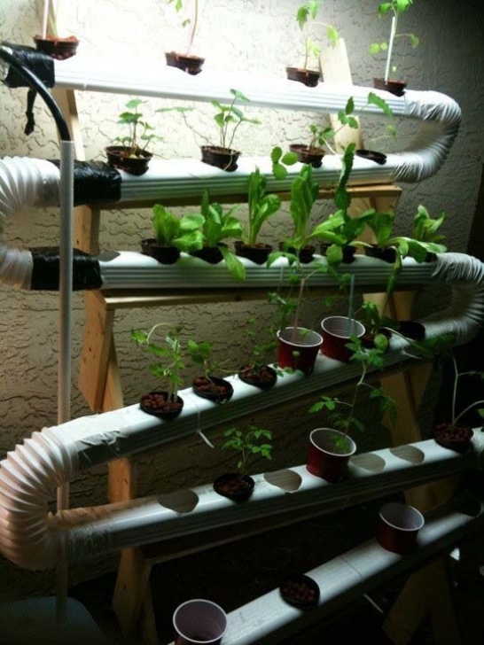 Best Indoor Hydroponic System Ultimate Vertical Hydroponic Farm On The Cheap.. Gift Away Picture 568