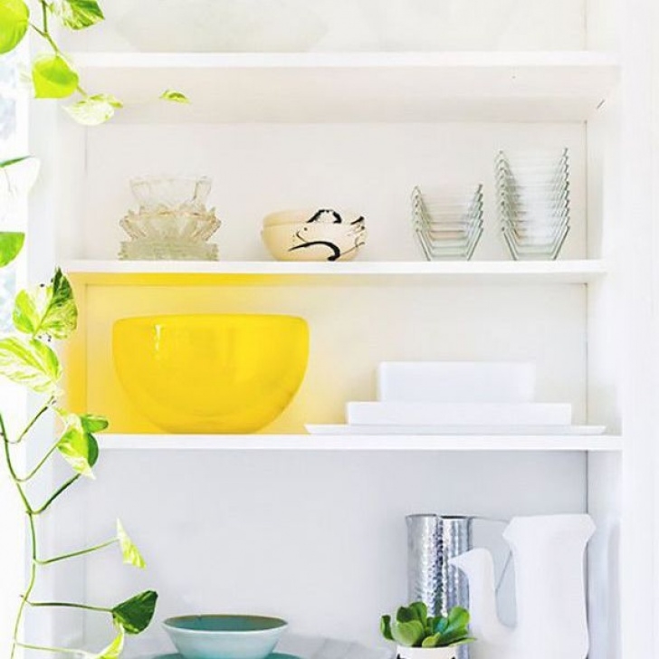 Best Indoor No Light Plants 8 Beautiful Low-Light Plants To Brighten Up Your Home Picture 927