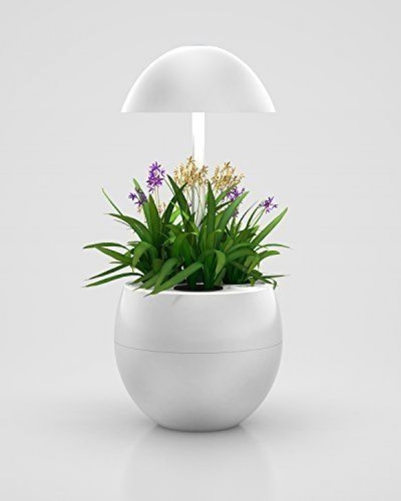 Best Led Grow Lights For Herbs 123Wegrow Hydroponic Indoor Garden System, Led Lights Photo 200