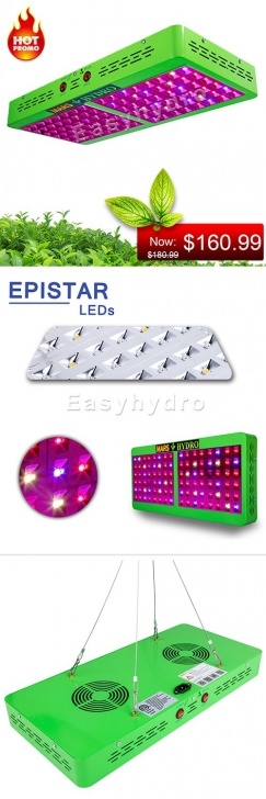 Best Led Grow Lights For Herbs Best Led Grow Light For Hydroponics Indoor Home Garden Picture 765
