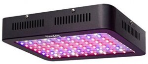 Best Led Grow Lights For Herbs Cheap Kenley 300W Led Grow Light For Indoor Plants Image 756