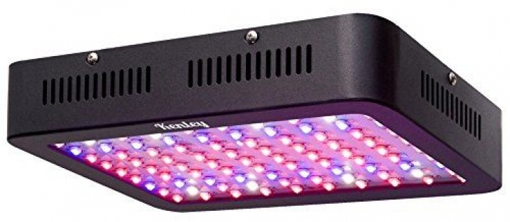 Best Led Grow Lights For Herbs Cheap Kenley 300W Led Grow Light For Indoor Plants Image 756