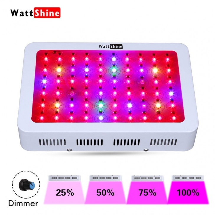 Best Led Grow Lights For Herbs Dimmer 300W Led Grow Light Double Chips Hydroponics Picture 655