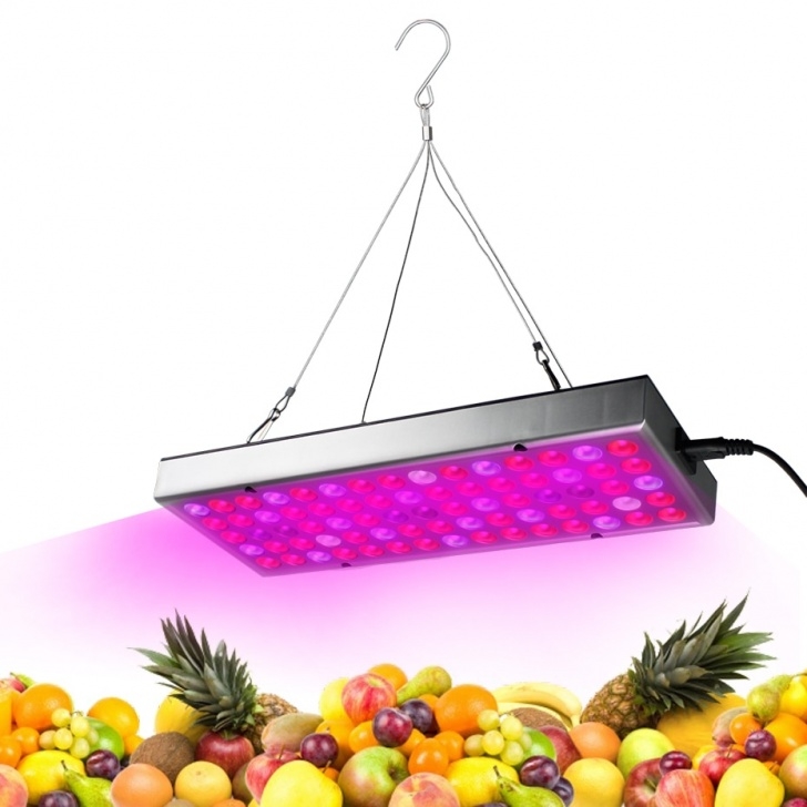 Best Led Grow Lights For Herbs Full Spectrum Led Grow Light 25W Lamp For Seedlings Photo 828