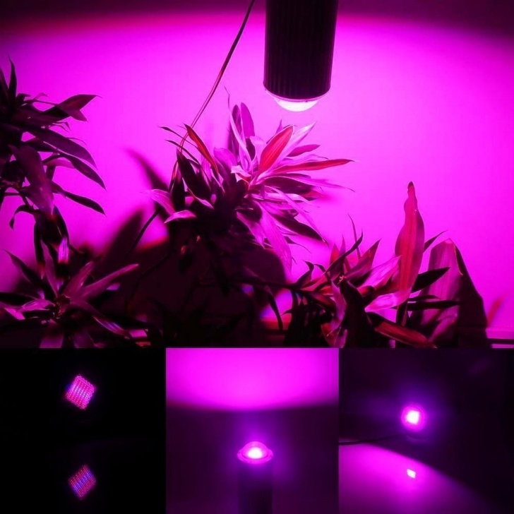 Best Led Grow Lights For Indoor Plants Best Led Grow Lights For Indoor Plants (Commercial Led Image 232