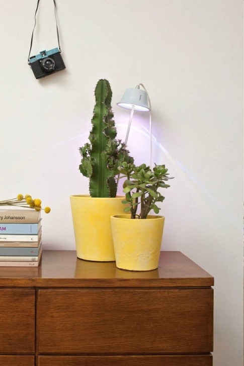 Best Led Grow Lights For Indoor Plants Best Led Grow Lights For Indoor Plants | Modelight Picture 019