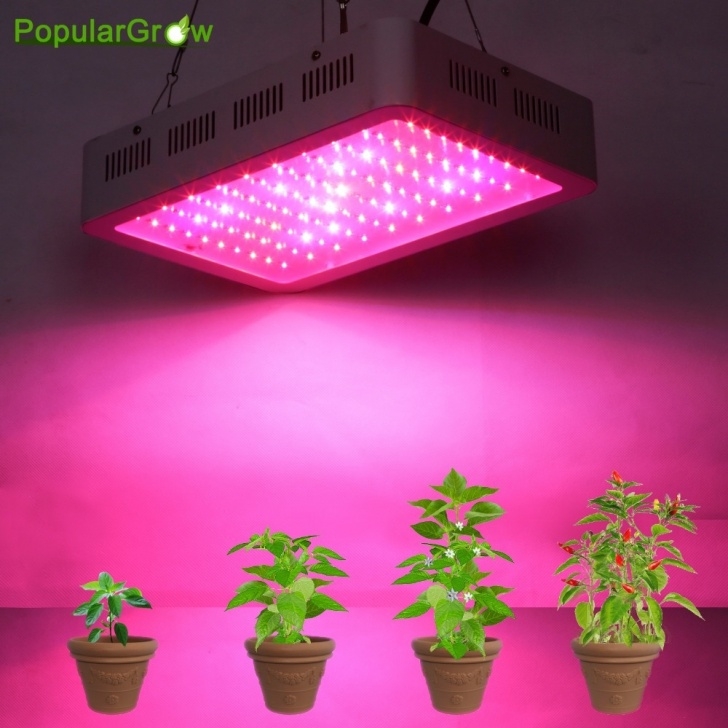 Best Light Bulb For Growing Plants Best Full Spectrum 300W Led Grow Light For Hydroponics Image 056