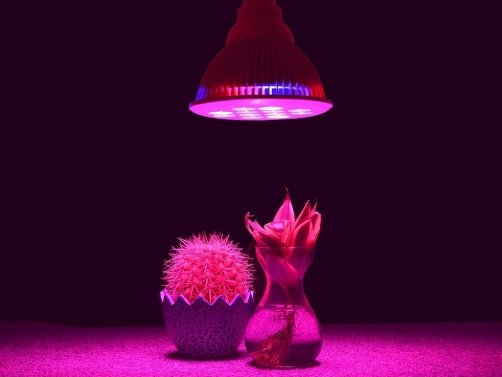 Best Light Bulb For Growing Plants Taotronics Tt-Gl20 Led Grow Light Review Image 775
