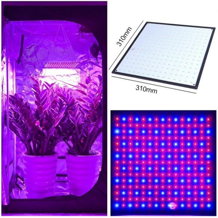 Best Light Bulb For Indoor Plants 1000W Greenhouse Led Herb Plant Grow Lights Full Spectrum Picture 991
