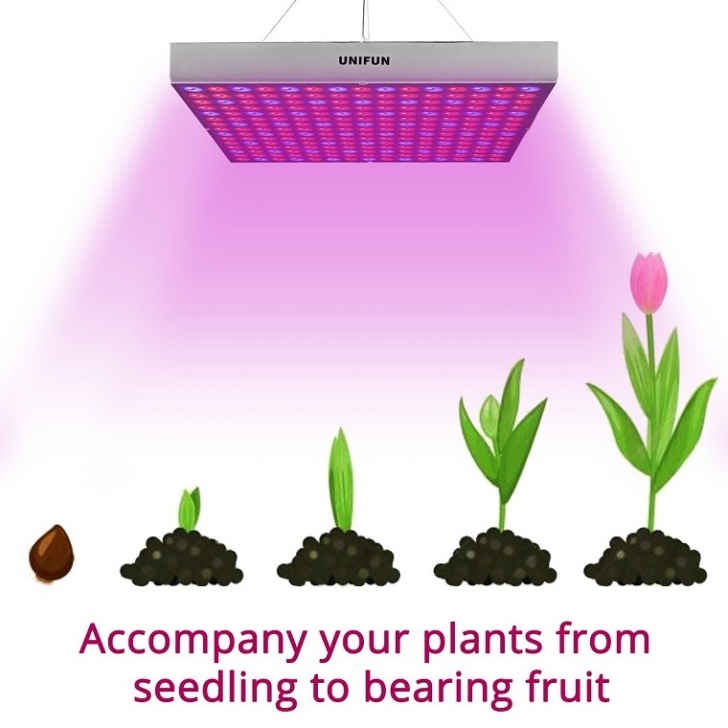 Best Light Bulb For Indoor Plants Best Led Grow Lights For Indoor Plants (Plant Grow Lights Photo 045