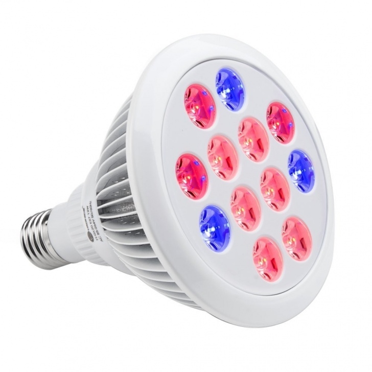 Best Light Bulb For Indoor Plants Best T5 Grow Lights Reviews | Guide For Growing Cannabis Picture 990