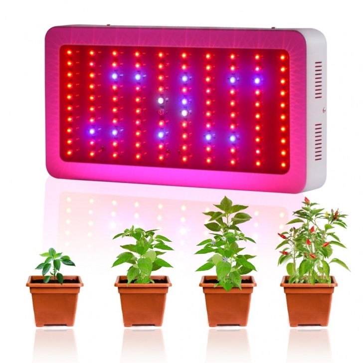 Best Light Bulb For Indoor Plants Populargrow Dimmable 300W Led Grow Light 9 Bands Full Image 944