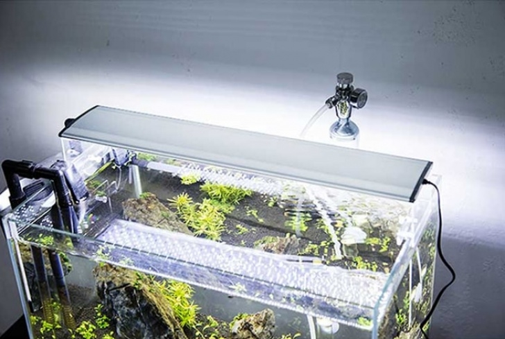 Best Light Bulb For Plants Aquarium Led Lights 60Cm Length 24.9W Aquatic Plants Grow Photo 041