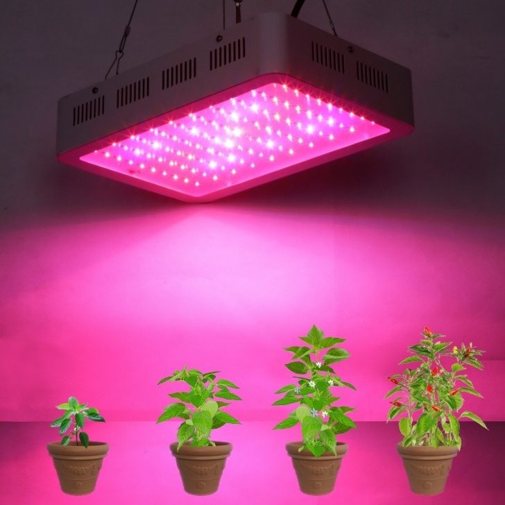 Best Light Bulb For Plants Best Full Spectrum 300W Led Grow Light For Hydroponics Image 478