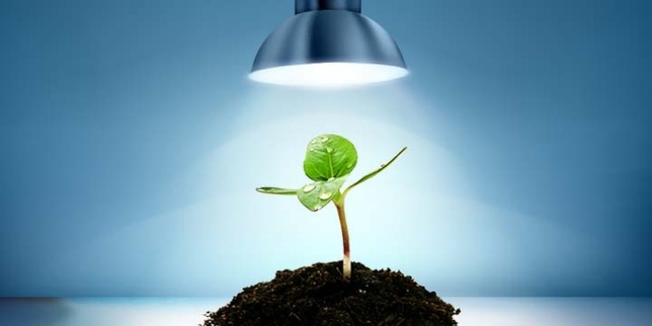 Best Light Bulb For Plants Led Grow Lights: The Best Choice For Indoor Plants &amp; Gardens Image 634