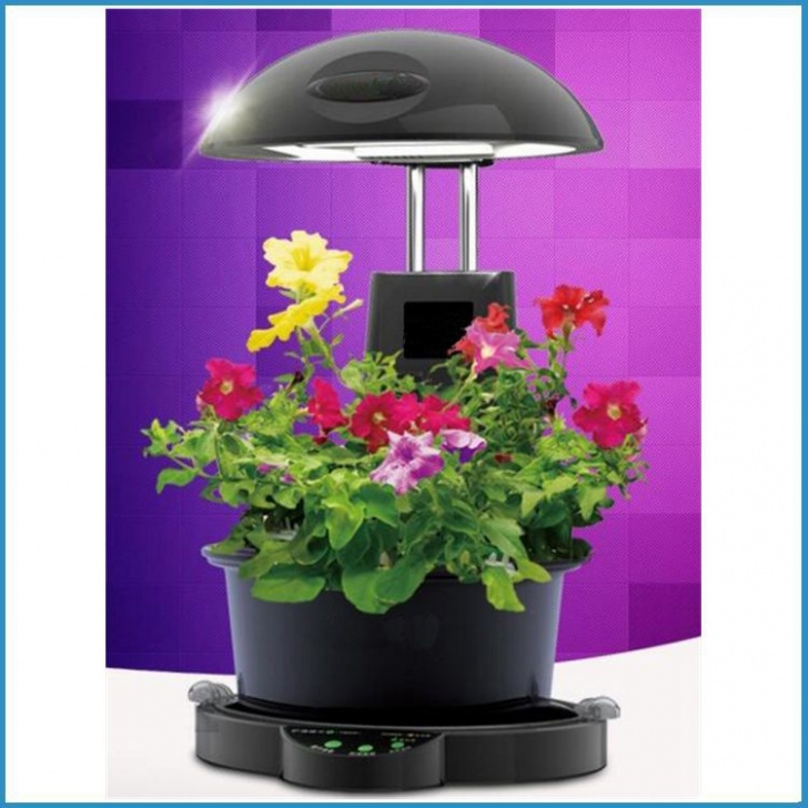 Best Light For Indoor Plants Indoor Garden Plant Grow Light,Indoor Plant Hydroponic Photo 820