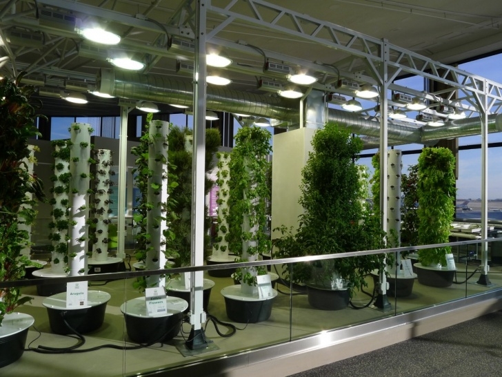 Best Light For Indoor Plants The Science Of Grow Lamps | Powerhouse Growers Image 848