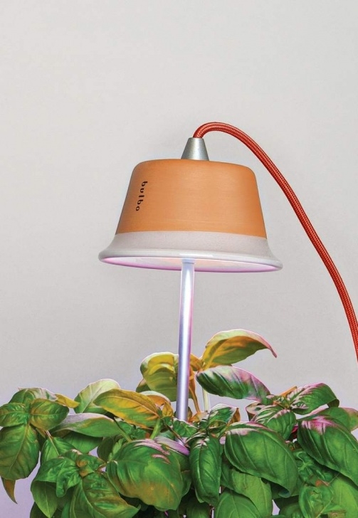 Best Light To Grow Plants Best Led Grow Lights For Indoor Plants | Modelight Picture 676