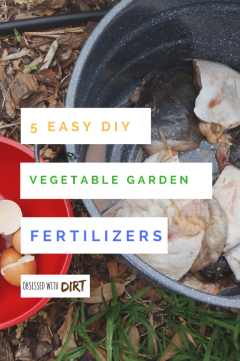 Best Natural Fertilizer For Vegetable Garden 5 Of The World'S Best Homemade Vegetable Garden Fertilizers Photo 116