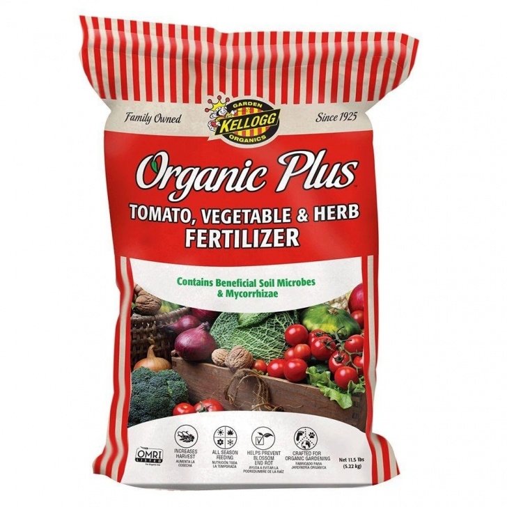 Best Natural Fertilizer For Vegetable Garden Cheap Vegetable Fertilizer Requirements, Find Vegetable Photo 569