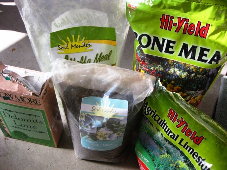 Best Natural Fertilizer For Vegetable Garden The Herbangardener » Spring Soil Preparation For The Picture 190