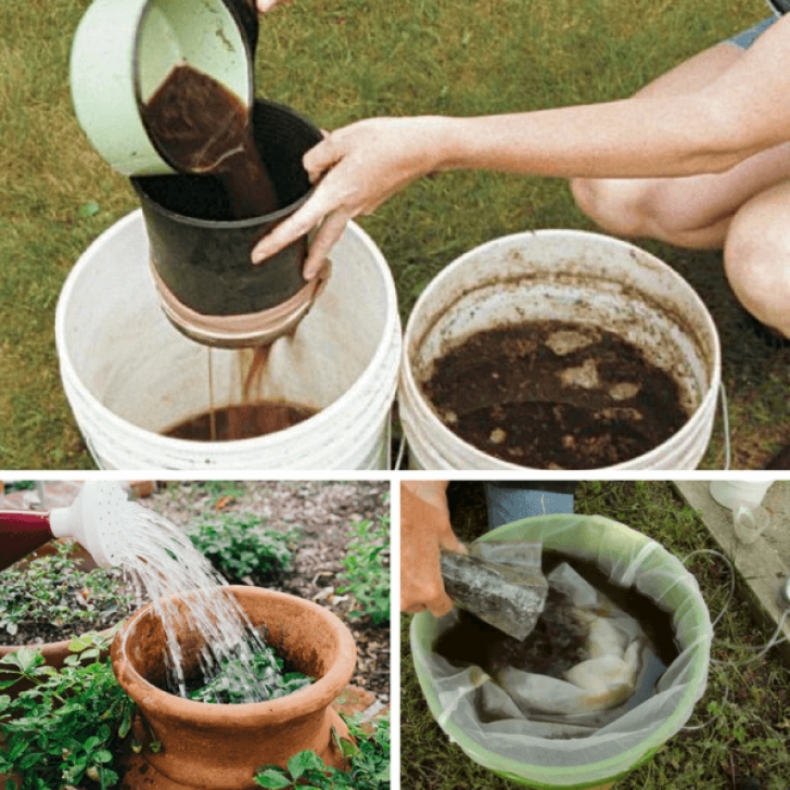 Best Organic Fertilizer For Vegetable Garden 5 Of The World'S Best Homemade Vegetable Garden Fertilizers Image 825