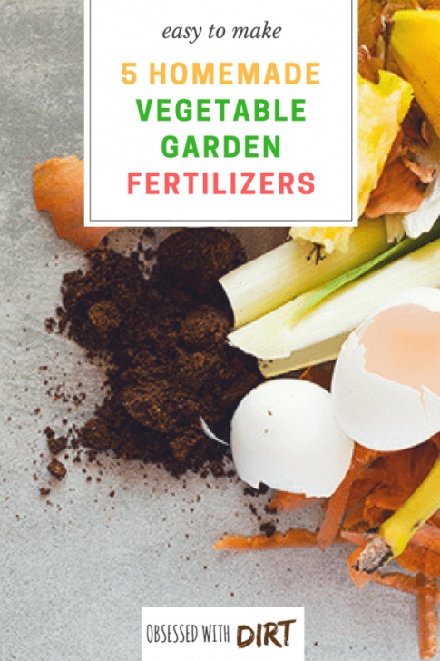 Best Organic Fertilizer For Vegetable Garden 5 Of The World'S Best Homemade Vegetable Garden Fertilizers Picture 027