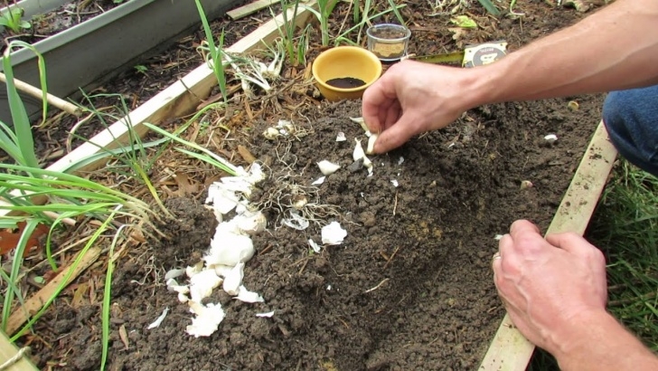 Best Organic Fertilizer For Vegetable Garden Homemade Organic Fertilizers For Vegetables - Homemade Ftempo Photo 582