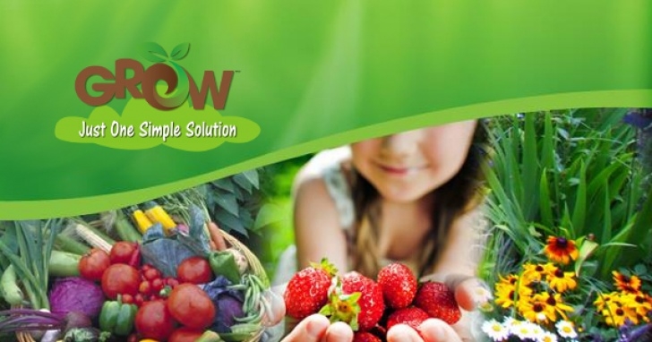 Best Organic Liquid Fertilizer For Vegetables Organic Liquid Fertilizer - For Gardens Lawns Plants Trees Image 611