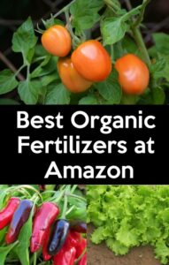 Best Organic Liquid Fertilizer For Vegetables These Are The Best Organic Fertilizers For Vegetables At Image 976 Best Organic Liquid Fertilizer For Vegetables These Are The Best Organic Fertilizers For Vegetables At Image 976