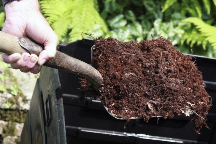 Best Organic Plant Fertilizer The Best Fertilizers For Richer Juicier Tomatoes Image 005