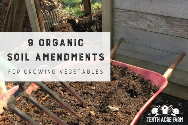 Best Organic Soil For Vegetable Garden 9 Organic Soil Amendments For Growing Vegetables | Tenth Photo 328
