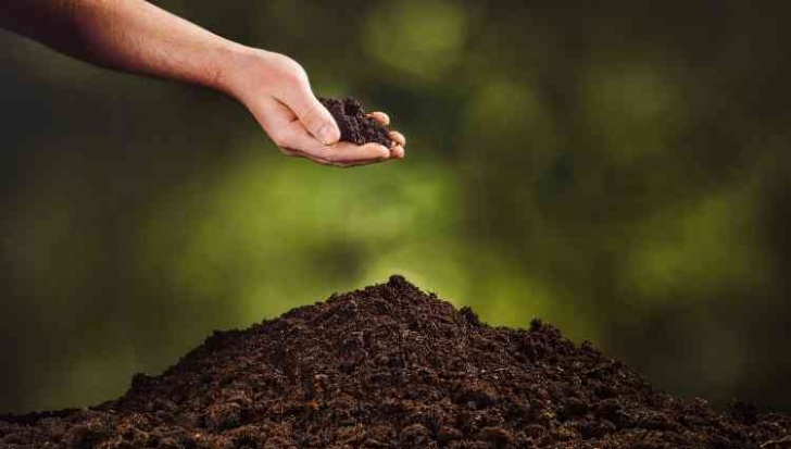 Best Organic Soil For Vegetable Garden Awesome Soil Amendments For Your Organic Vegetable Garden Image 955