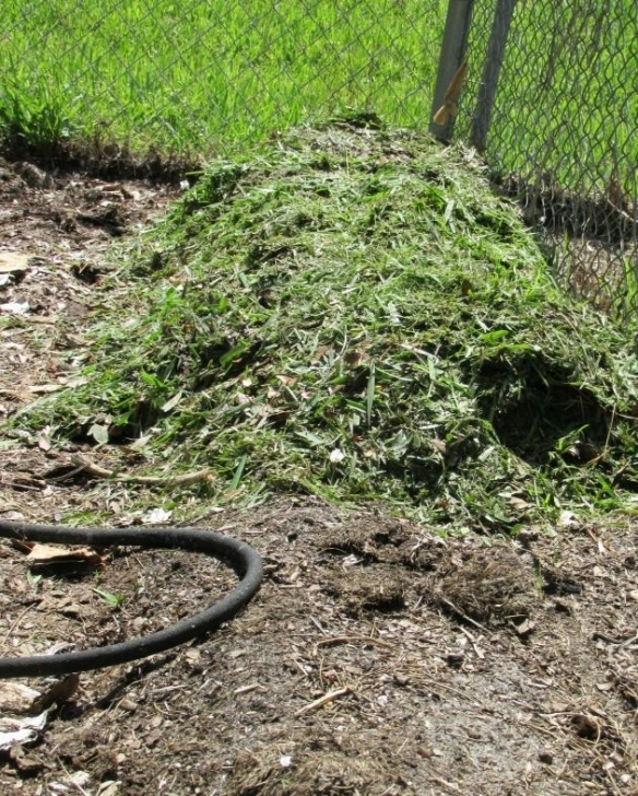 Best Organic Soil For Vegetable Garden Build Million Dollar Garden Soil | Garden Compost, Organic Photo 059