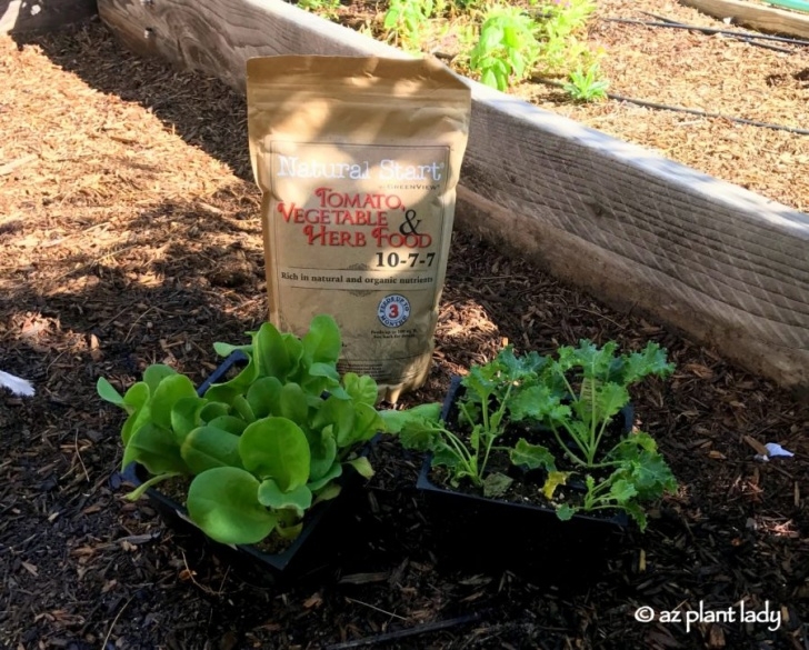 Best Organic Soil For Vegetable Garden Fertilizer Basics: How To Choose The Right Fertilizer For Photo 087