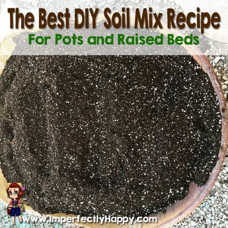 Best Organic Soil For Vegetable Garden The Best Diy Soil Mix Recipe | Garden Compost, Garden Soil Image 814