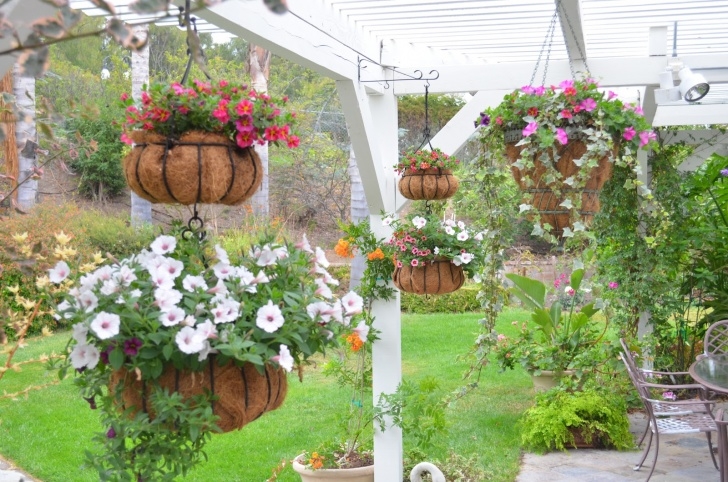 Best Outdoor Hanging Plants Entertaining From An Ethnic Indian Kitchen: Hanging Baskets Image 399