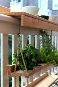 Best Plants For Apartment Balcony Table Top And Hanging Plants For Balcony | Crafty In 2019 Image 347