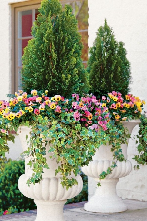 Best Plants For Container Gardening 125 Container Gardening Ideas | Fall Container Gardens Picture 325