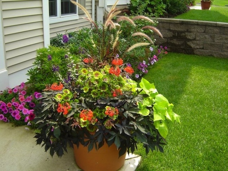 Best Plants For Container Gardening Container Gardening Tips - Bob Vila Image 359